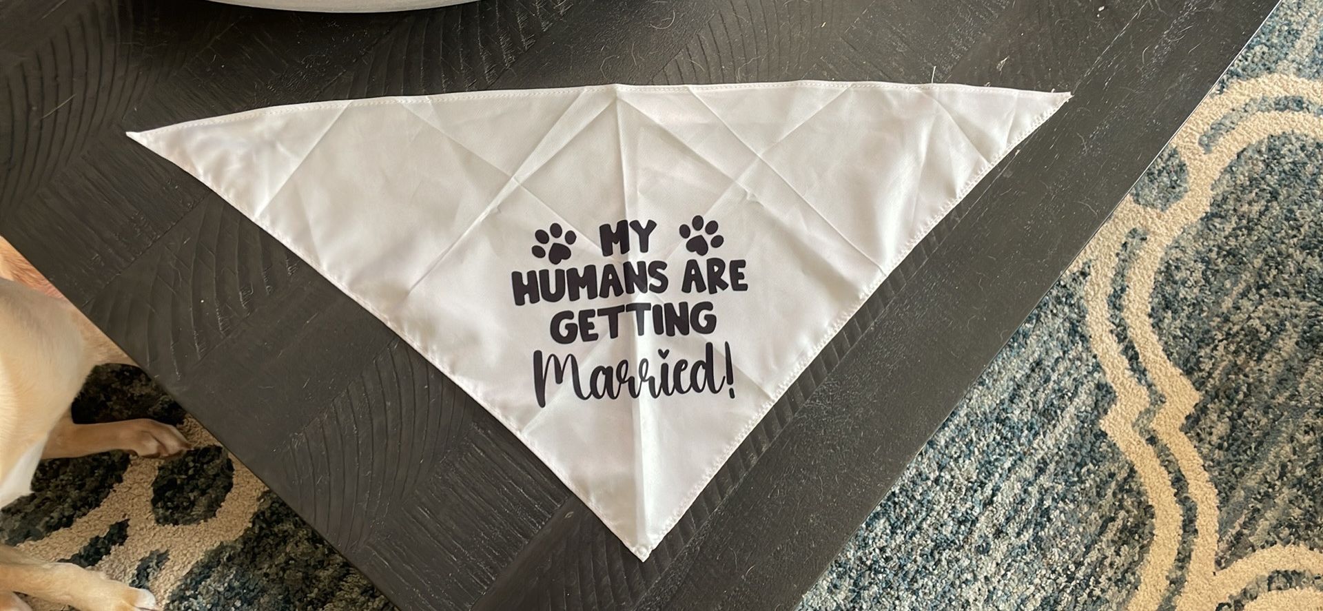 Dog wedding bandana