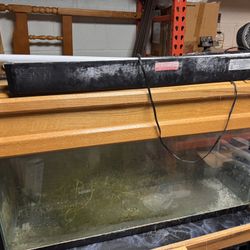 70 Gallon Fish Tank 