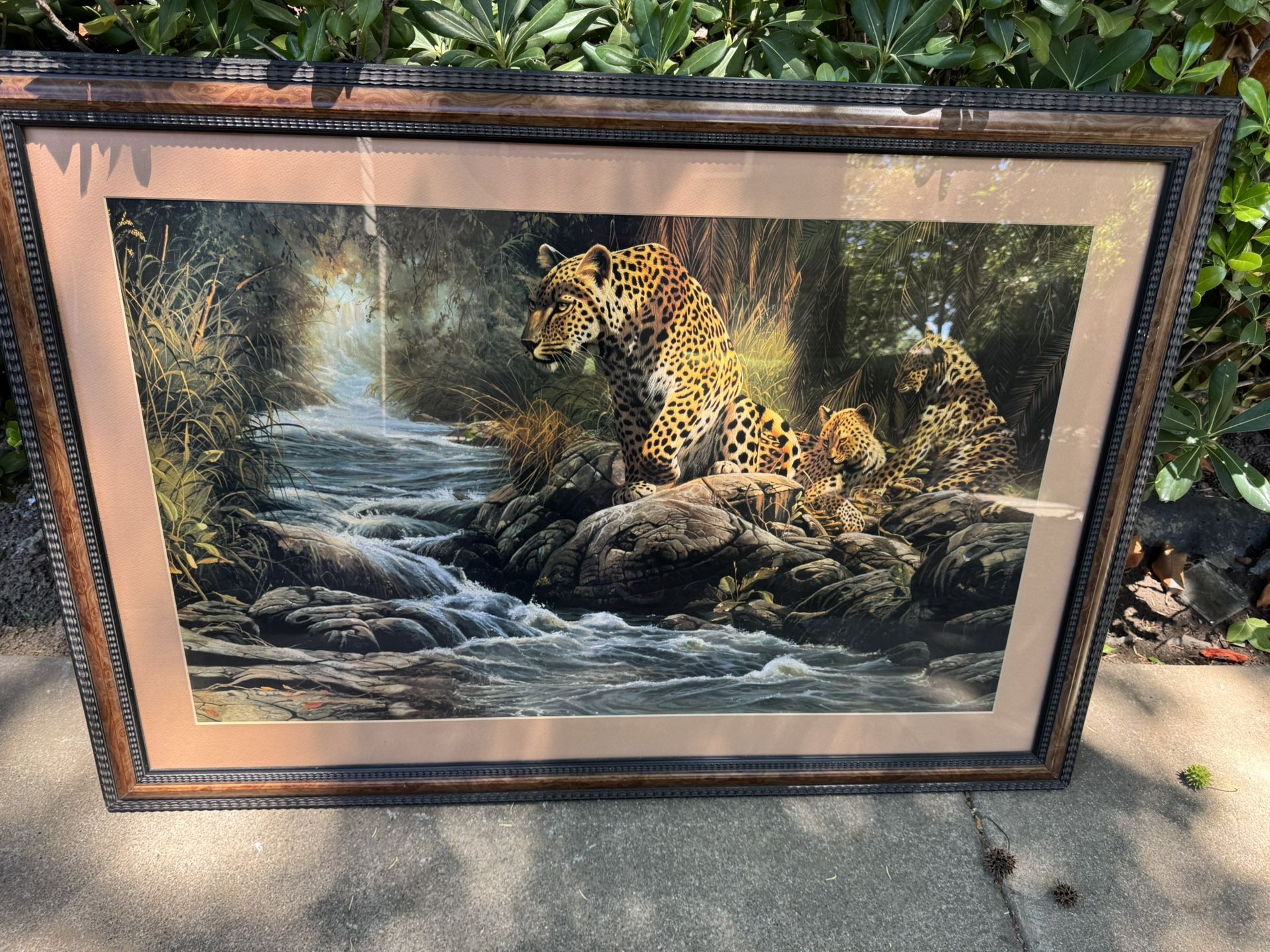 Cheetah Pic On Wooden Frame In Plastic Glass