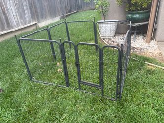 medium dog gate