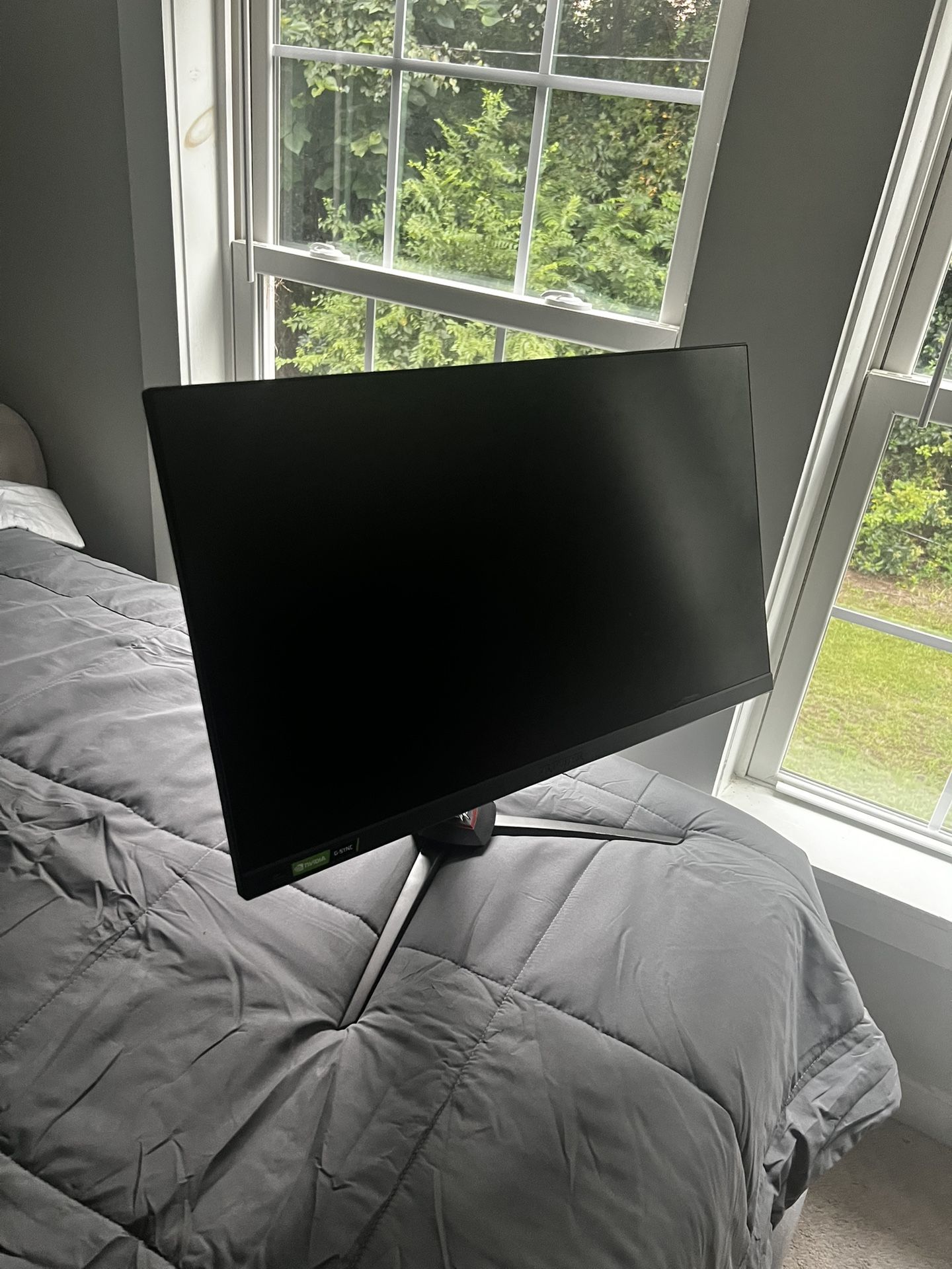 Predator gaming monitor
