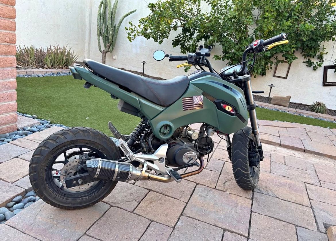 2020 TaoTao Hellcat