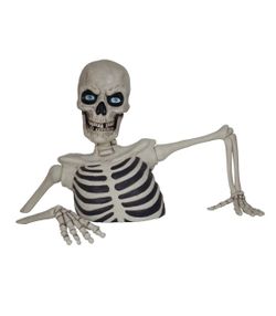 62” Giant skeleton head