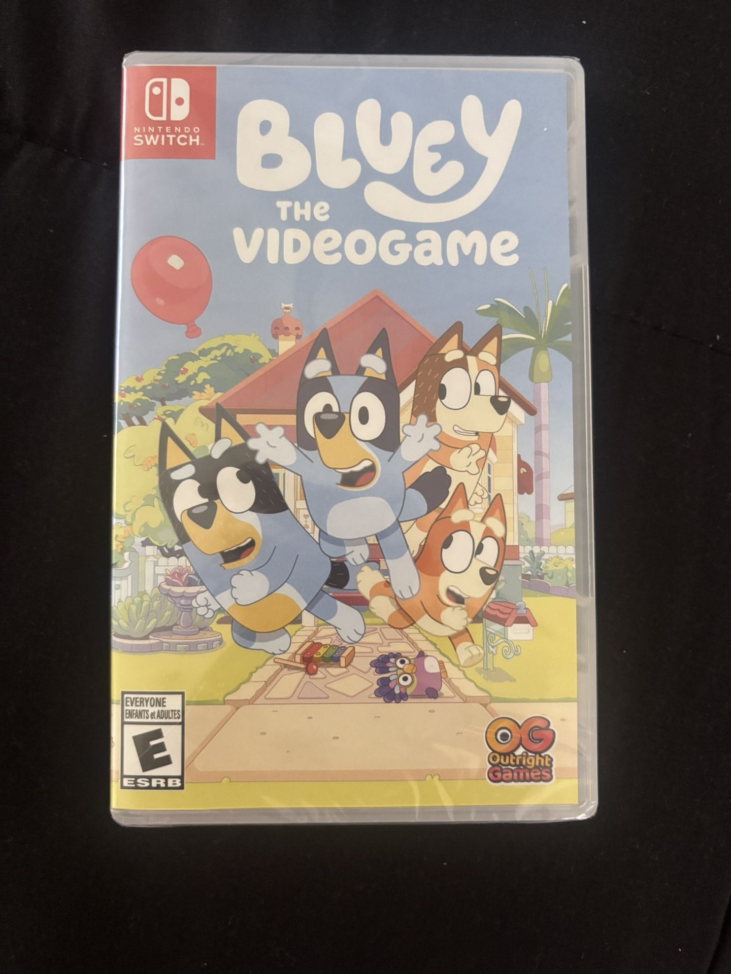 Bluey Switch Video Game