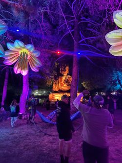 2 Nocturnal Wonderland Tix for Sale for 9/20/26