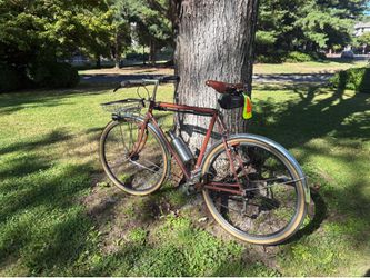 Custom Steel Randonneur / Light Touring Bike - 57cm - Dynamo - Brooks - Velo Orange