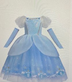 Cinderella Princess