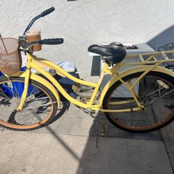 Adult Bike