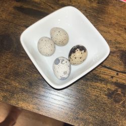 Organic Eggs 