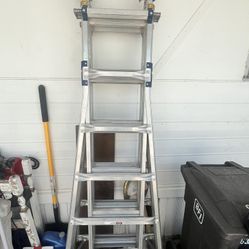 25 Foot MULTI-POSITION PRO WERNER Ladder