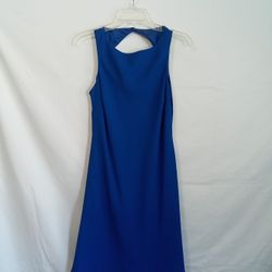 Women's Stunning Dress 