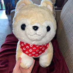Shiba BIG Amuse Plush Misasuke