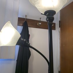 Metal Floor Lamp With (2) Lights One Adjustable . Has Glass Shades. Reduced From $35