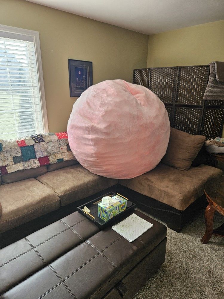 Massive Bean Bag