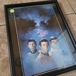 Star Trek framed artwork