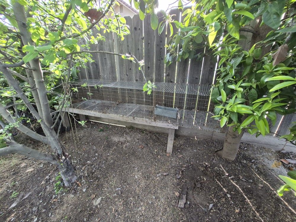 Cage For Rabbits