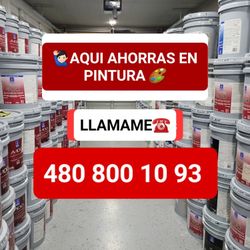 Pintura Exterior 