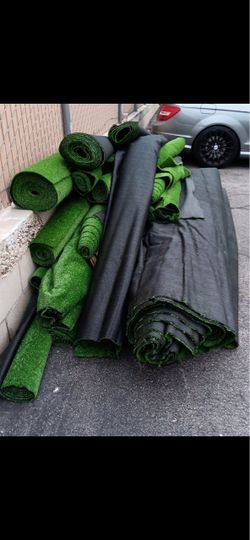 Grass