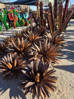 🌺collection of beautiful metal art decor🌵
POTTERY, flowers, Ocotillos, cacti 🪷