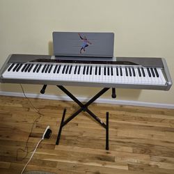 Piano- Keyboard  Casio  Privia  PX 110.