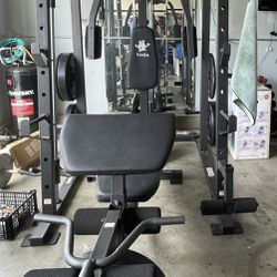 Vesta Gym Equipment