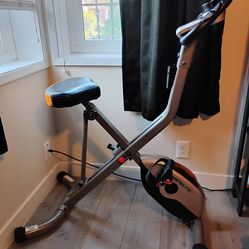 Exerpeutic gold XL plus size exercise bike high weight limit