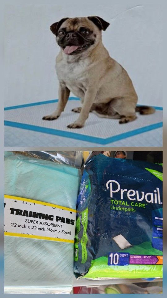 Bed Pads Or Training Pads 