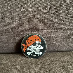 Vintage 90s Pirate Skull with crossbones Reflective Heavy Metal Pog Slammer Game Piece