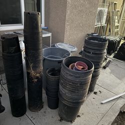 Plant buckets