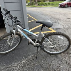 Roadmaster MT Fury 24” Mountain Bike