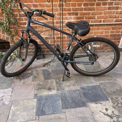 Beach Cruiser