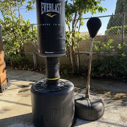 Everlast Powercore Free Standing Heavy Bag