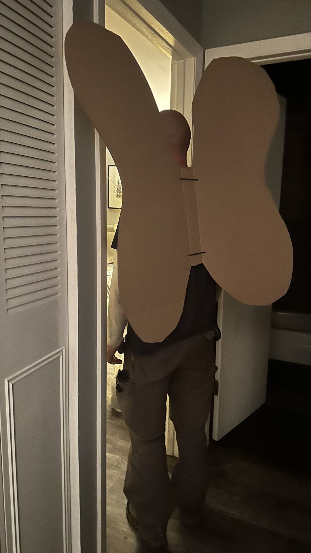 Halloween Costume Wings Base