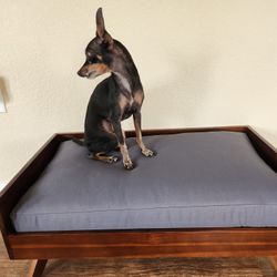Wooden Dog Bed – Solid, Clean, Modern