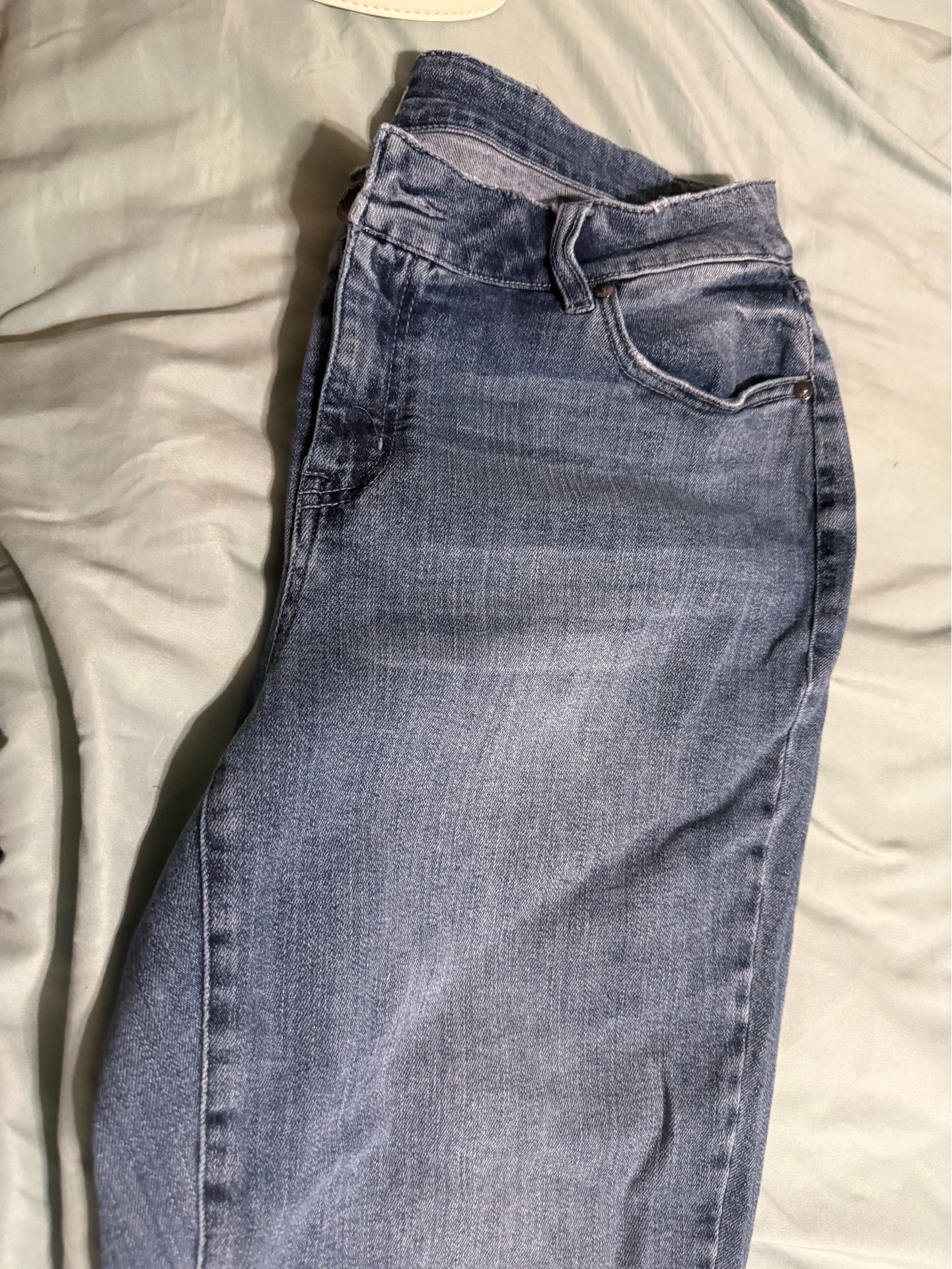 When women’s denim from Lane Bryant’s