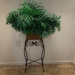 Plant