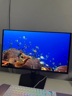 Oled monitor 27”