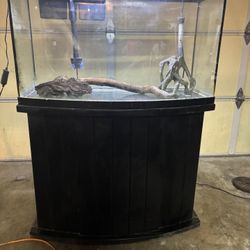 50 Gallon Fish Tank
