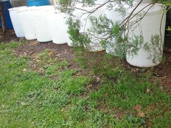 30s and 55s ...... Make into very useful items