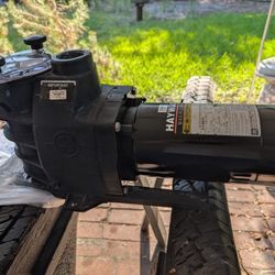 Hayward Max Flow 1 HP Pool/ Spa Motor Pump Assembly