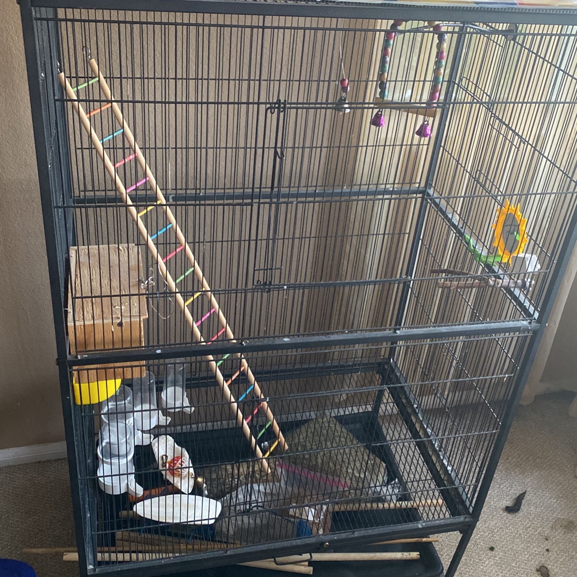 Bird Cage