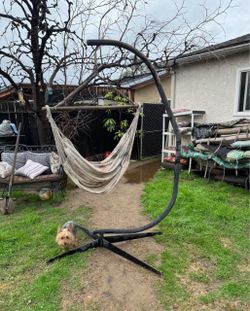 Iron Holding Swings Rack Just Need A New Hammock Swing