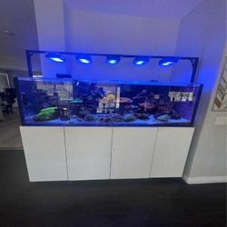 Premium Fish Tank Setup – Stylish Design and Top Quality many type