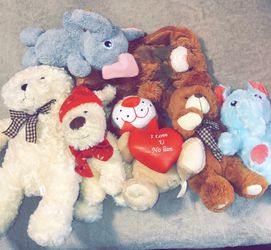 Lot Of Stuffed Animals In Santa Ana