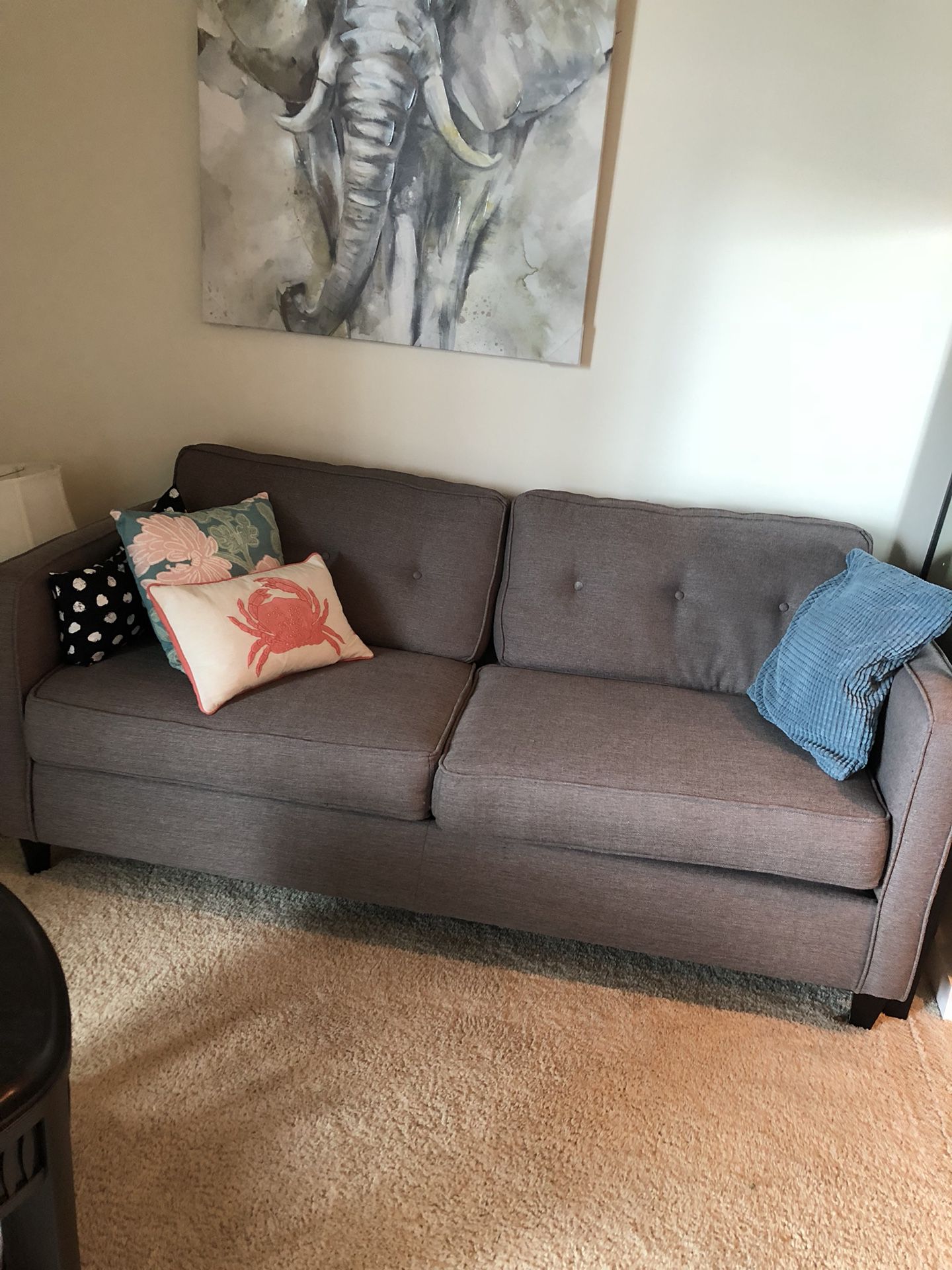 Grey modern cloth couch