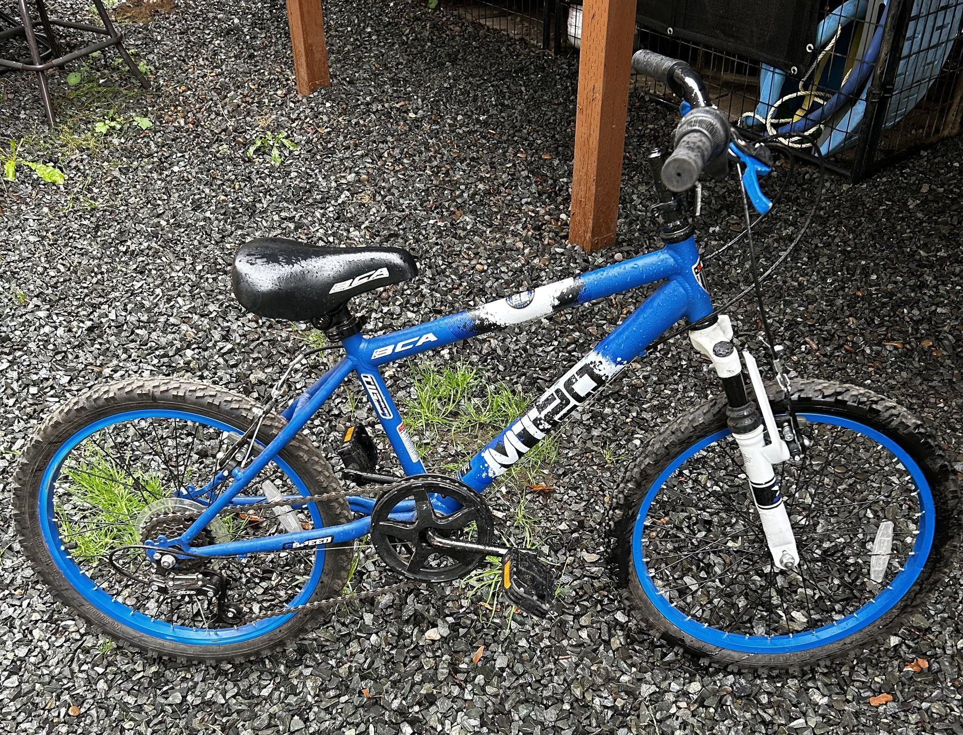 Kids 20 inch Mountain Bike Blue/White