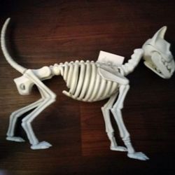 Dog Skeleton Halloween Decoration