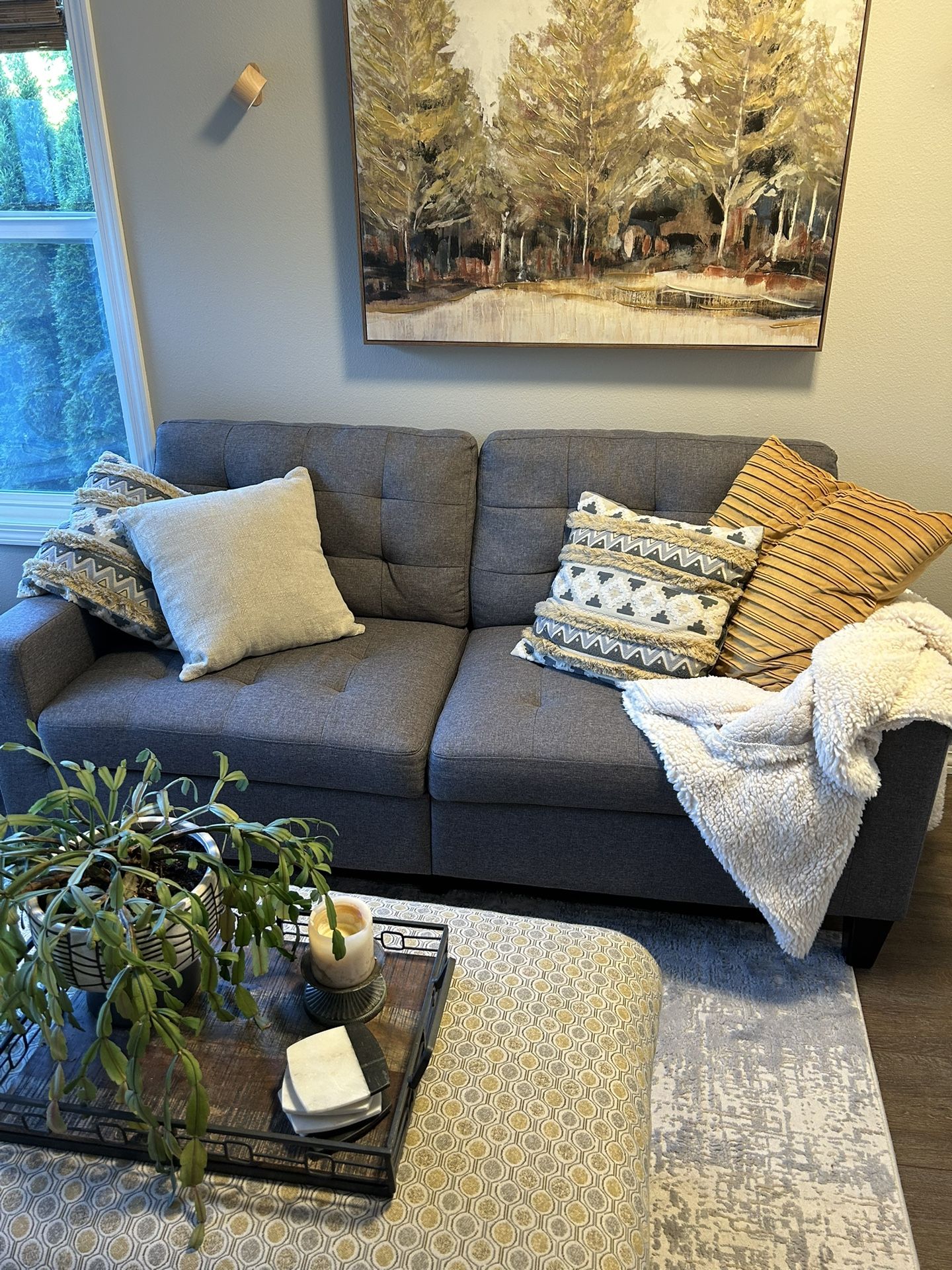 Comfy Small Couch