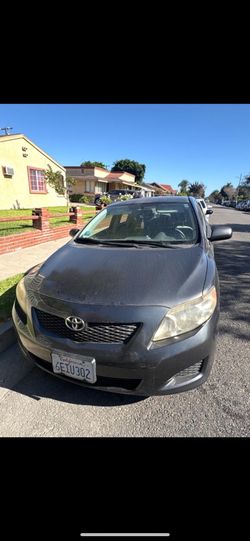 2009 Toyota Corolla