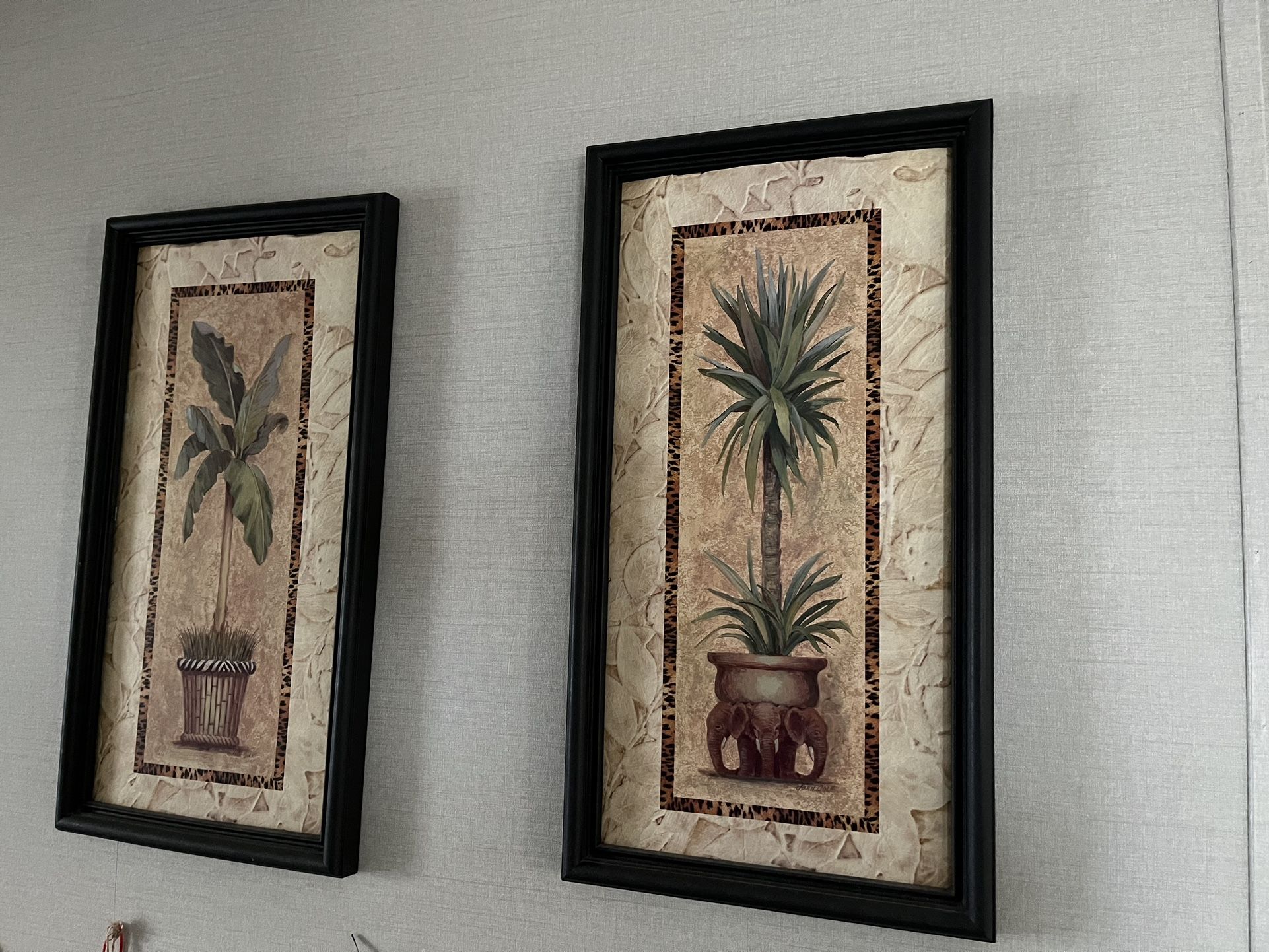 Framed Pictures